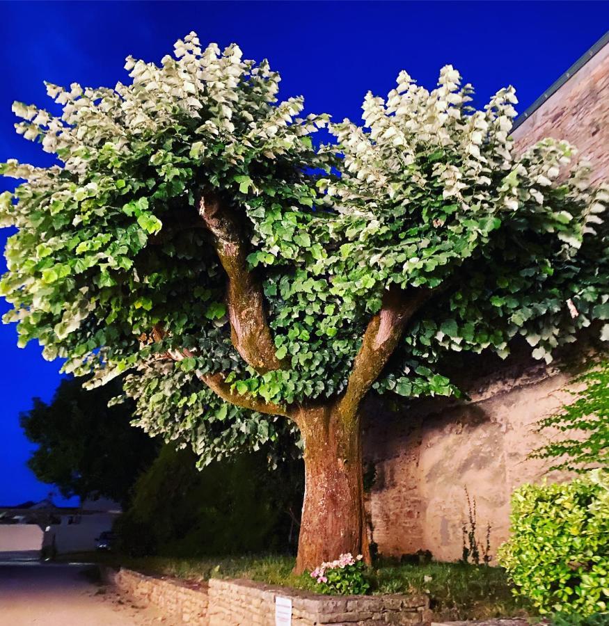 La Dormance Bed and Breakfast Beaune  Buitenkant foto